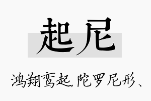 起尼名字的寓意及含义