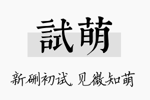 试萌名字的寓意及含义