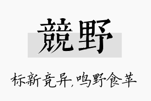 竞野名字的寓意及含义