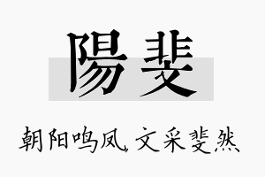 阳斐名字的寓意及含义