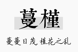 蔓槿名字的寓意及含义