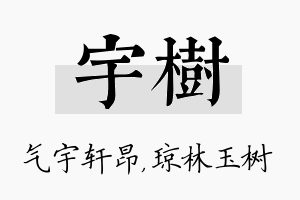 宇树名字的寓意及含义