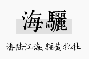 海骊名字的寓意及含义