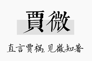 贾微名字的寓意及含义