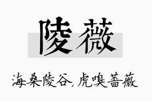 陵薇名字的寓意及含义