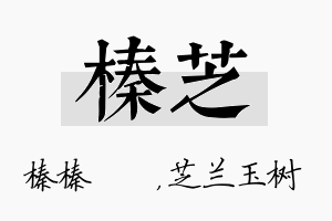 榛芝名字的寓意及含义