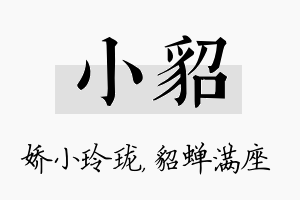 小貂名字的寓意及含义