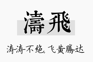 涛飞名字的寓意及含义