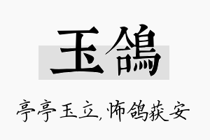 玉鸽名字的寓意及含义