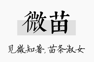 微苗名字的寓意及含义