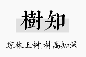 树知名字的寓意及含义