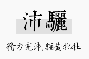 沛骊名字的寓意及含义