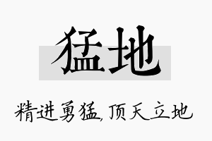 猛地名字的寓意及含义