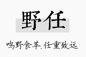 野任名字的寓意及含义