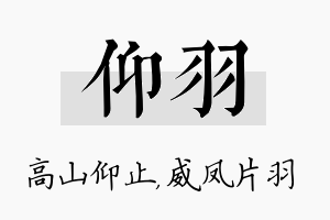 仰羽名字的寓意及含义