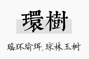 环树名字的寓意及含义