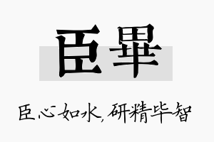 臣毕名字的寓意及含义