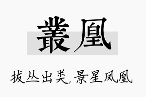 丛凰名字的寓意及含义