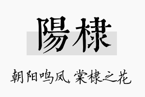 阳棣名字的寓意及含义