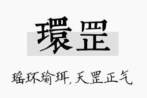 环罡名字的寓意及含义