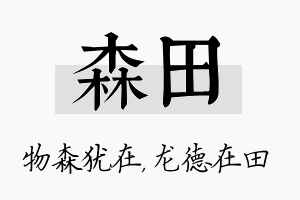 森田名字的寓意及含义