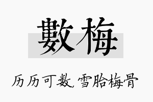 数梅名字的寓意及含义