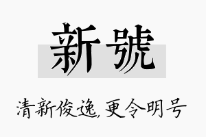 新号名字的寓意及含义