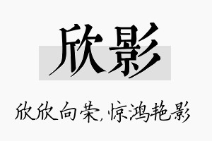 欣影名字的寓意及含义