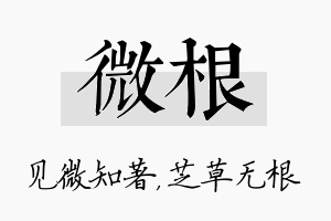 微根名字的寓意及含义