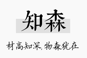 知森名字的寓意及含义