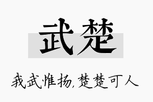 武楚名字的寓意及含义