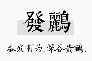 发鹂名字的寓意及含义