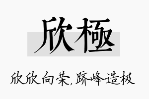 欣极名字的寓意及含义