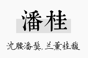 潘桂名字的寓意及含义