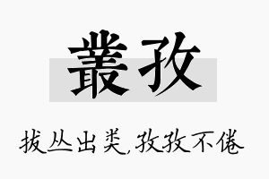 丛孜名字的寓意及含义