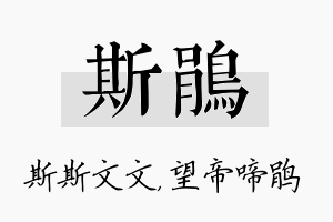 斯鹃名字的寓意及含义