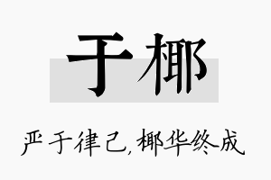 于椰名字的寓意及含义