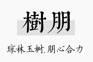 树朋名字的寓意及含义