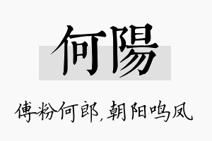 何阳名字的寓意及含义