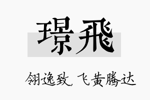 璟飞名字的寓意及含义