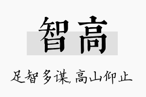 智高名字的寓意及含义