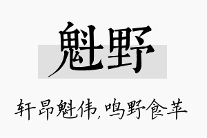 魁野名字的寓意及含义