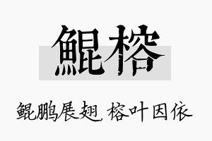 鲲榕名字的寓意及含义