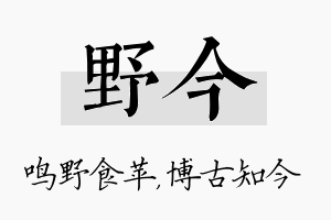 野今名字的寓意及含义