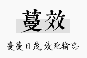 蔓效名字的寓意及含义