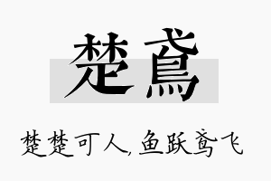 楚鸢名字的寓意及含义