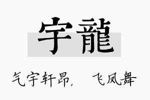 宇龍名字的寓意及含义