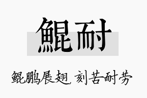 鲲耐名字的寓意及含义