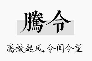 腾令名字的寓意及含义