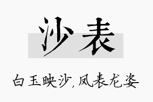 沙表名字的寓意及含义